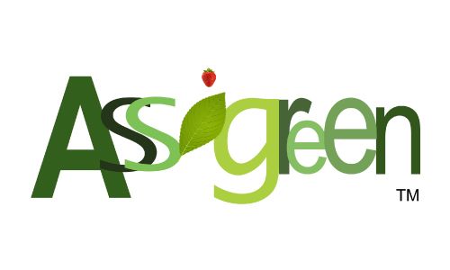 Assigreen e Tesla Club Italy